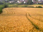 Townsend Farm, Nr Ilminster crop circle, aerial photo 11