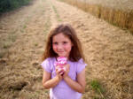 Townsend Farm, Nr Ilminster crop circle, aerial photo 6