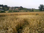 Townsend Farm, Nr Ilminster crop circle, aerial photo 7