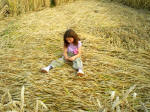 Townsend Farm, Nr Ilminster crop circle, aerial photo 13