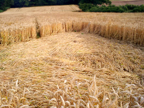 Townsend Farm, Nr Ilminster crop circle, aerial photo 14