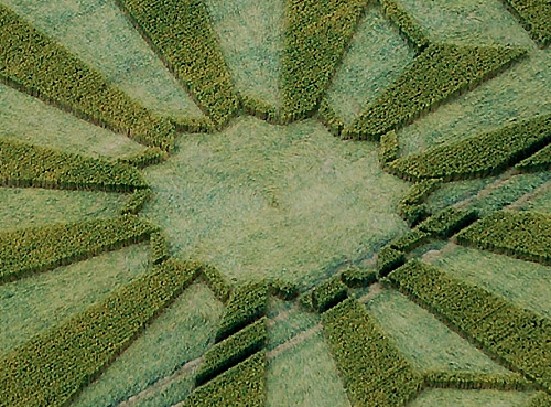 Wayland Smithy, Oxfordshire crop circle, aerial photo 2
