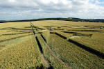 Wayland Smithy, Oxfordshire crop circle, aerial photo 17