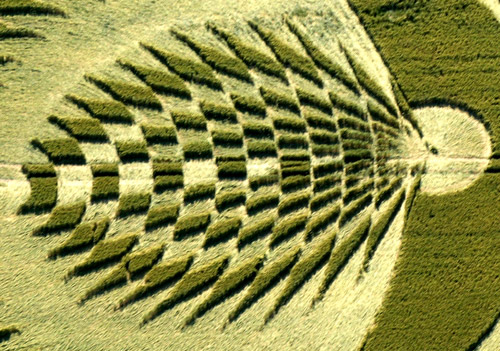 Uffington Castle, Oxfordshire crop circle, aerial photo 12