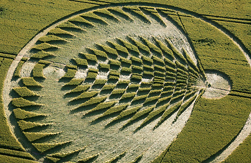 Uffington Castle, Oxfordshire crop circle, aerial photo 10