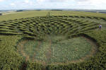 Uffington Castle, Oxfordshire crop circle, aerial photo 9