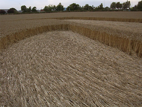 Waltham, Lincolnshire crop circle, aerial photo 15