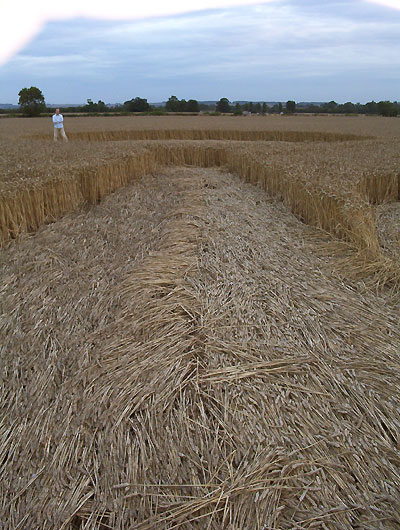 Waltham, Lincolnshire crop circle, aerial photo 17