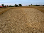 Waltham, Lincolnshire crop circle, aerial photo 25