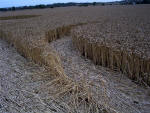 Waltham, Lincolnshire crop circle, aerial photo 21