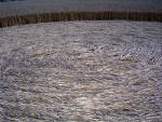Waltham, Lincolnshire crop circle, aerial photo 22