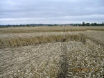 Waltham, Lincolnshire crop circle, aerial photo 4