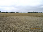 Waltham, Lincolnshire crop circle, aerial photo 7