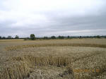 Waltham, Lincolnshire crop circle, aerial photo 9