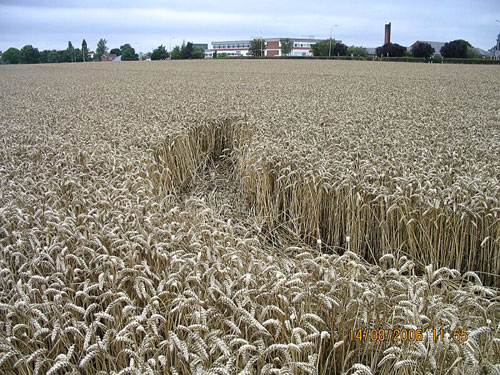 Waltham, Lincolnshire crop circle, aerial photo 3