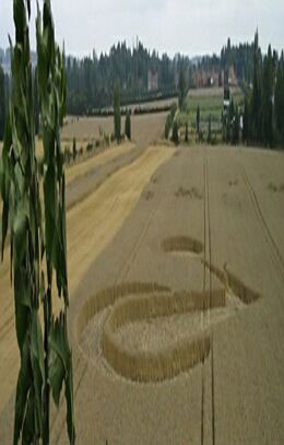 Waltham, Lincolnshire crop circle, aerial photo 2