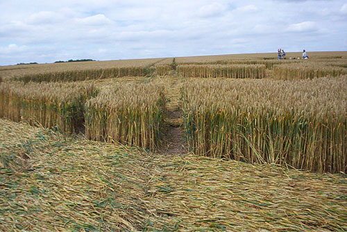 Windmill Hill, Wilshire crop circle, aerial photo 13