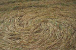 Windmill Hill, Wilshire crop circle, aerial photo 16