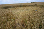 Windmill Hill, Wilshire crop circle, aerial photo 21