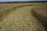 Windmill Hill, Wilshire crop circle, aerial photo 45