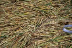 Windmill Hill, Wilshire crop circle, aerial photo 38