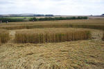 Windmill Hill, Wilshire crop circle, aerial photo 24
