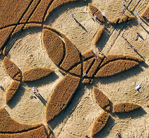 Windmill Hill, Wilshire crop circle, aerial photo 9