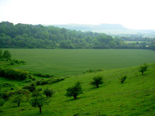 Church Road, Bedfordshire crop circle, aerial photo 4