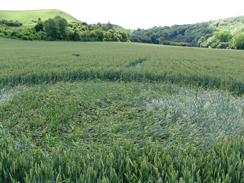 Church Road, Bedfordshire crop circle, aerial photo 7