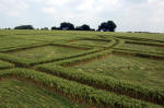 Abbots Down, Wiltshire crop circle, aerial photo 11