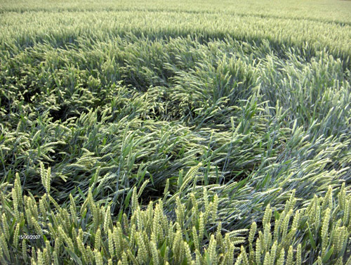 Alton Barnes Crossroads, Wiltshire crop circle, aerial photo 4