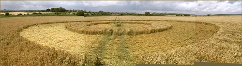 Cannings Cross, Wiltshire crop circle, aerial photo 29