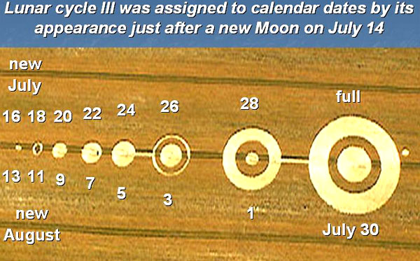 Cannings Cross, Wiltshire crop circle, aerial photo 25