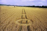 Cannings Cross, Wiltshire crop circle, aerial photo 16
