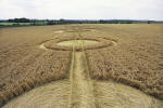 Cannings Cross, Wiltshire crop circle, aerial photo 17