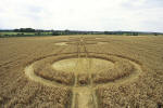 Cannings Cross, Wiltshire crop circle, aerial photo 13