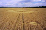 Cannings Cross, Wiltshire crop circle, aerial photo 10