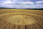 Cannings Cross, Wiltshire crop circle, aerial photo 11