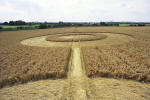 Cannings Cross, Wiltshire crop circle, aerial photo 15