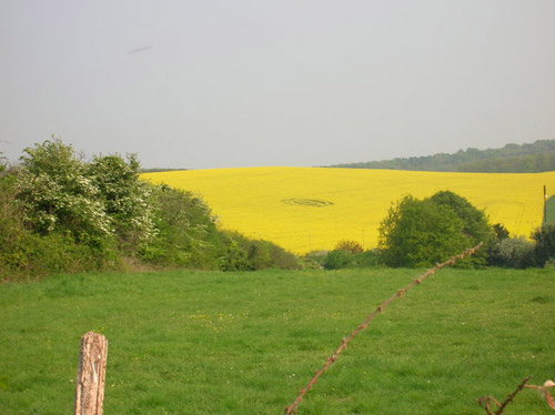 Chilcomb Down, Hampshire crop circle, aerial photo 5