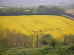 Chilcomb Down, Hampshire crop circle, aerial photo 19