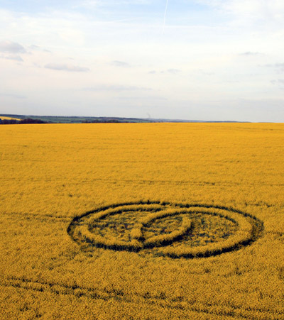 Chilcomb Down, Hampshire crop circle, aerial photo 24