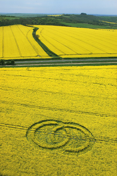 Chilcomb Down, Hampshire crop circle, aerial photo 26