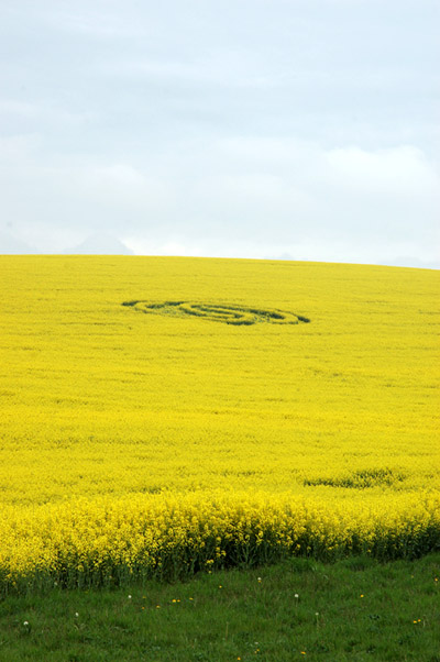 Chilcomb Down, Hampshire crop circle, aerial photo 27