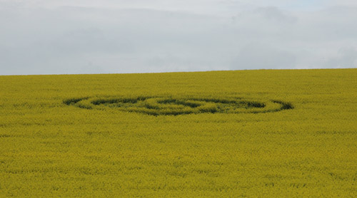Chilcomb Down, Hampshire crop circle, aerial photo 28