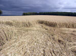 Chute Causeway, Wiltshire crop circle, aerial photo 21