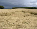 Chute Causeway, Wiltshire crop circle, aerial photo 17