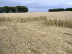 Chute Causeway, Wiltshire crop circle, aerial photo 19