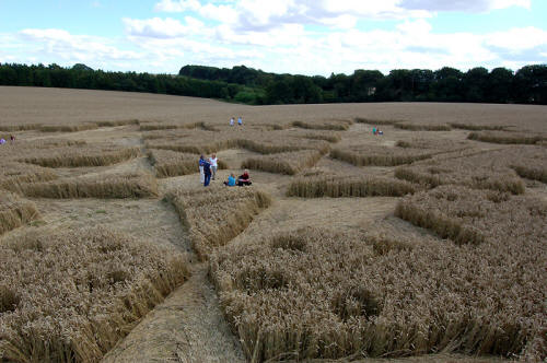 Chute Causeway, Wiltshire crop circle, aerial photo 16