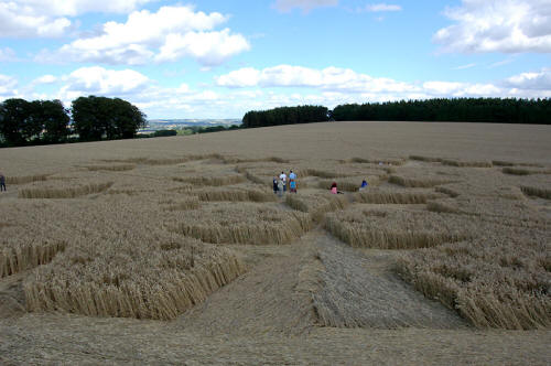 Chute Causeway, Wiltshire crop circle, aerial photo 15